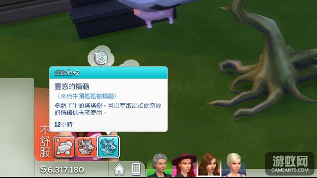 40804.jpg