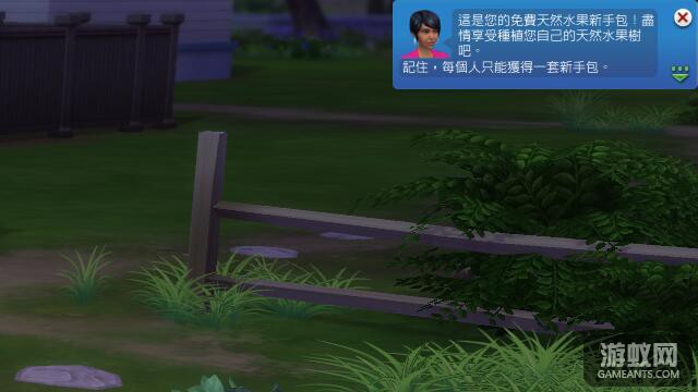 061.jpg