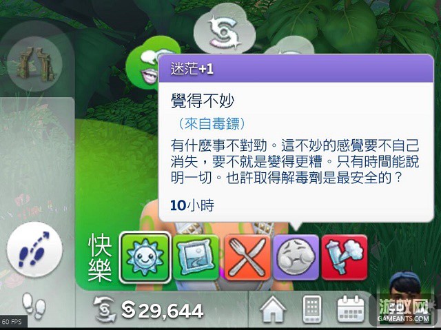604505.jpg