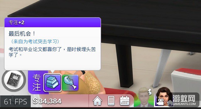 897065.jpg