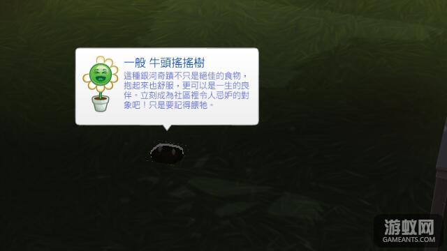 04065145061.jpg