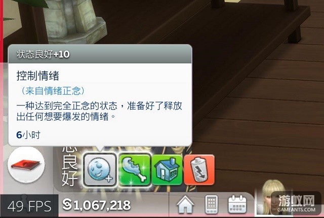 23023.jpg
