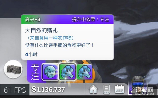 809546.jpg