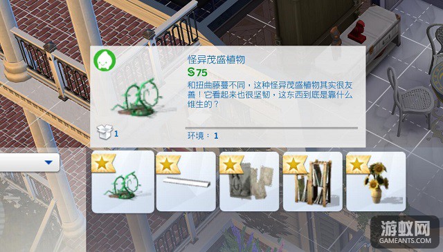 3434.jpg