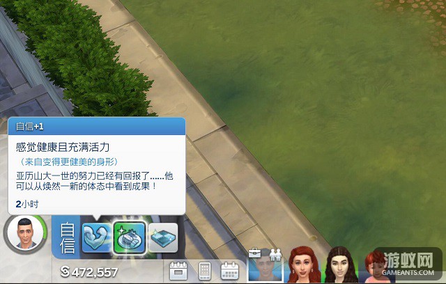 213.jpg