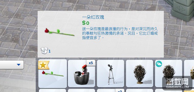 23.jpg