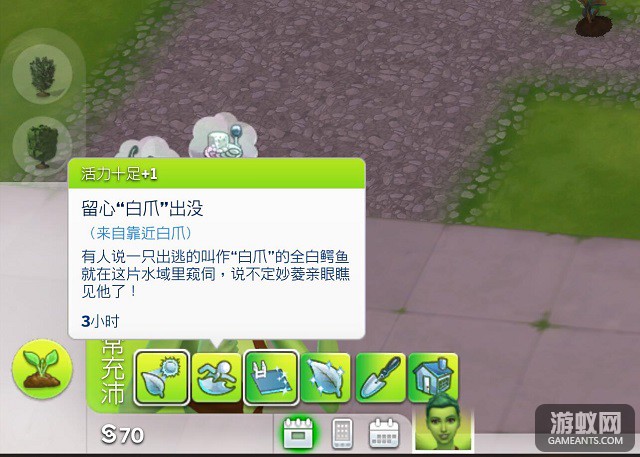 3.1.jpg