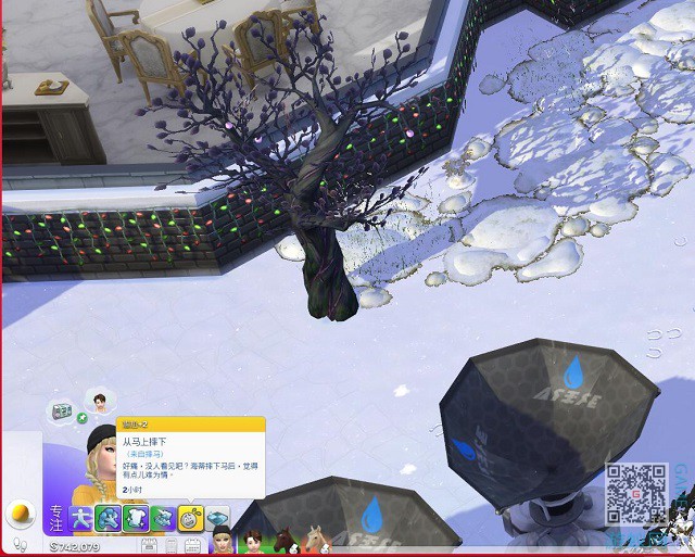 000.jpg