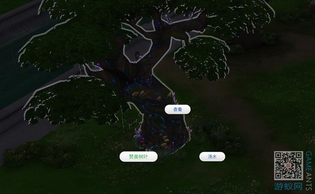 56165.jpg