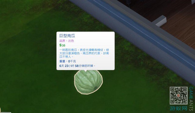 221626.jpg