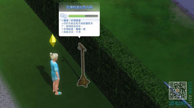 106.jpg