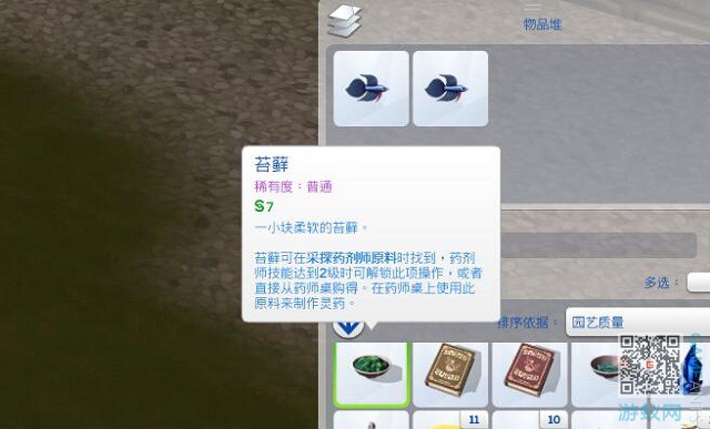 19.jpg
