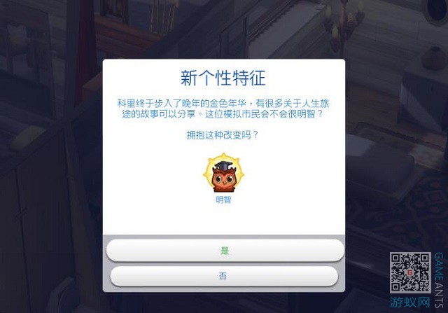 00.jpg