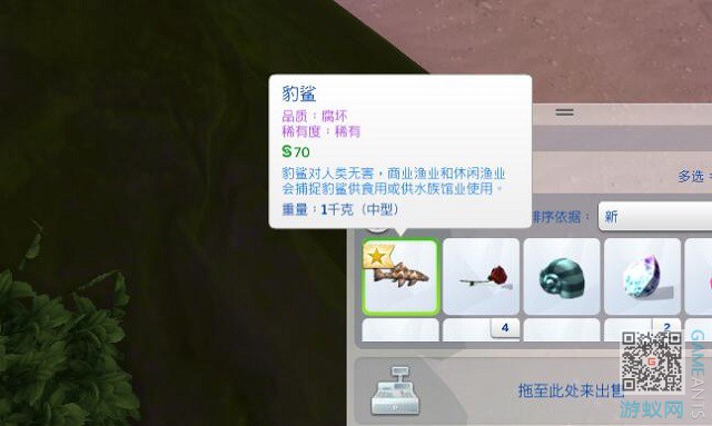 5.4.jpg