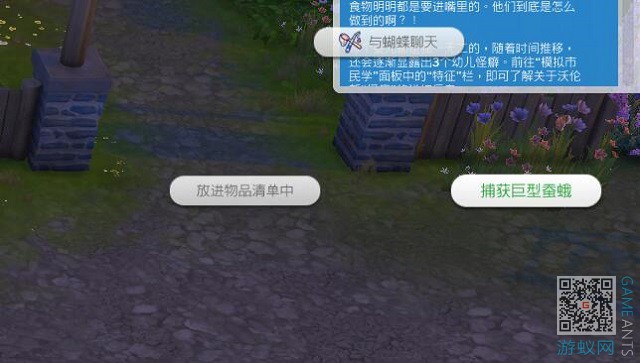 0.11.jpg