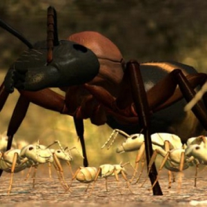 小团队大制作 《蚂蚁模拟(Ant Simulator)》有野心的策略游戏