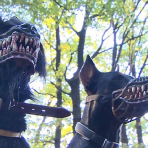遛狗神器 呆萌汪星人丧尸犬一秒转换