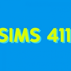 SIMS 411概要