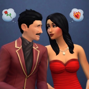 SIMS 411概要